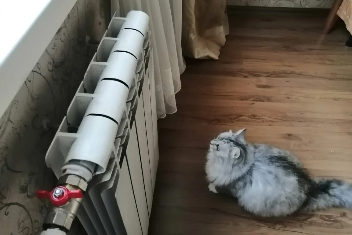 Stavljam 1 traku ispod radijatora – i toplina ne odlazi u zid: u kući +3 stupnja temperature za 40 minuta detail 2