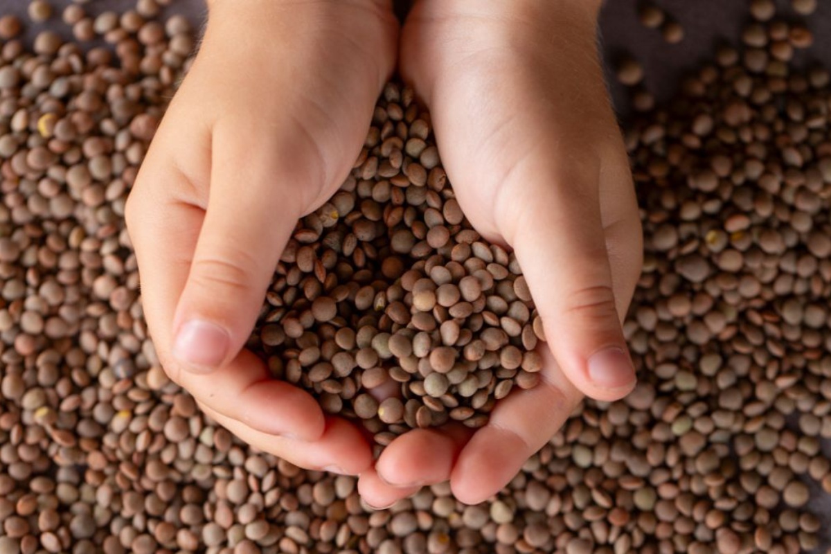 Gdje treba postaviti tanjur s lećom kako bi se privuklo izobilje, prema Feng Shuiju detail 2