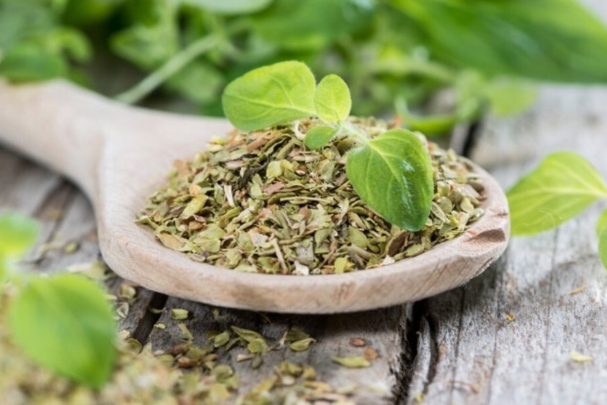 Zašto preporučuju bacanje origana u odvod i koje prednosti ima detail 2