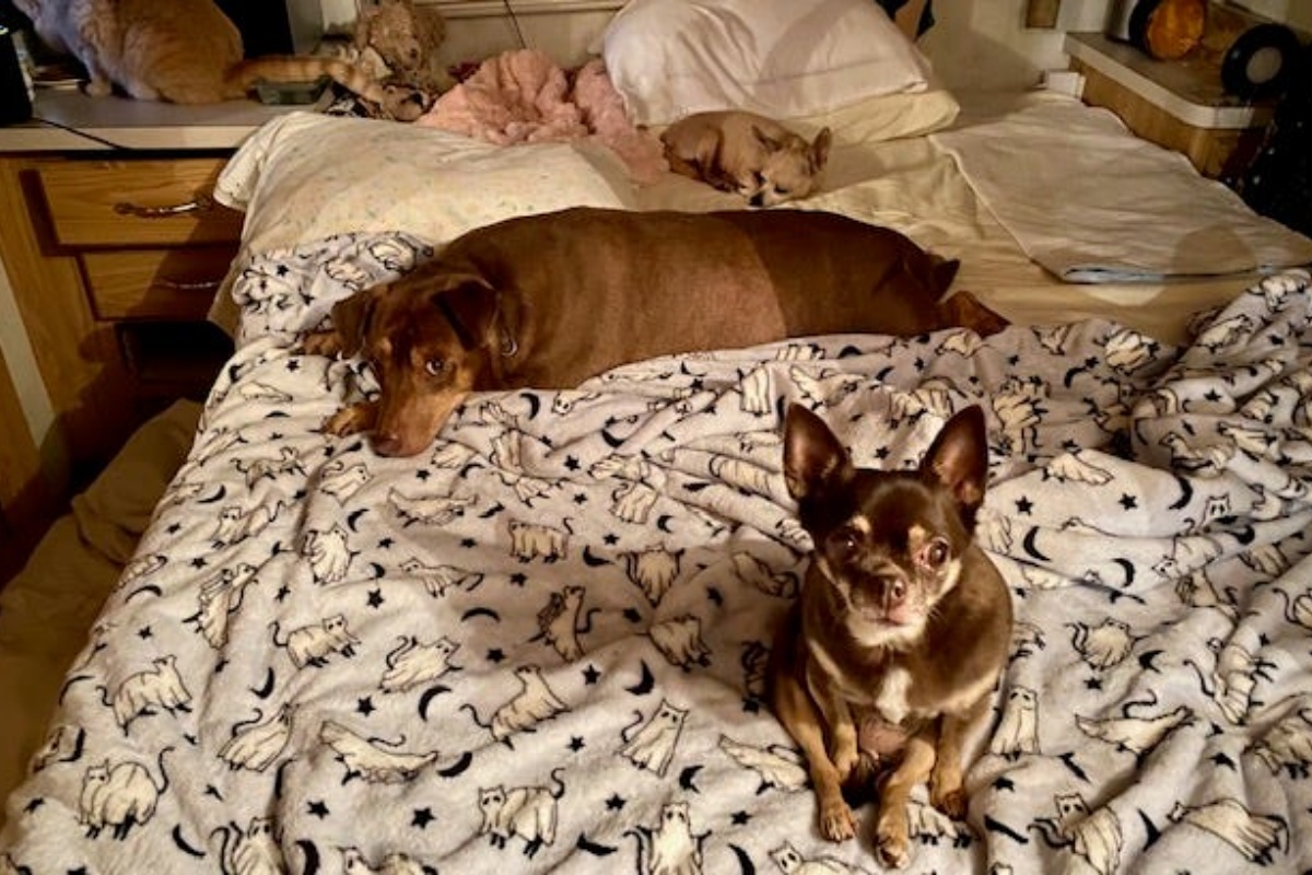 Živim u maloj kamp kućici s 81 godinom: Tamo imam sve što mi treba detail 2