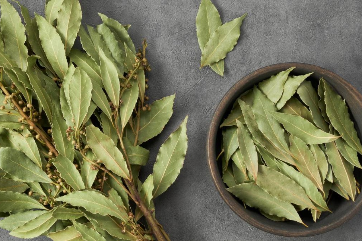 Stavljanje lovorovog lista na vrata kupaonice: Zašto se to radi i zašto je preporučljivo detail 2