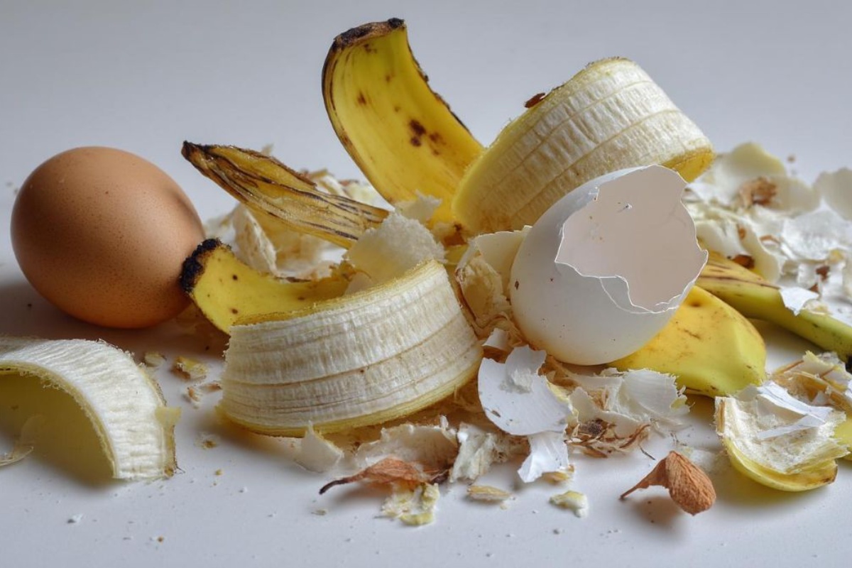 Kako poboljšati prinos stabla limuna pomoću domaće mješavine koju je lako pripremiti detail 2