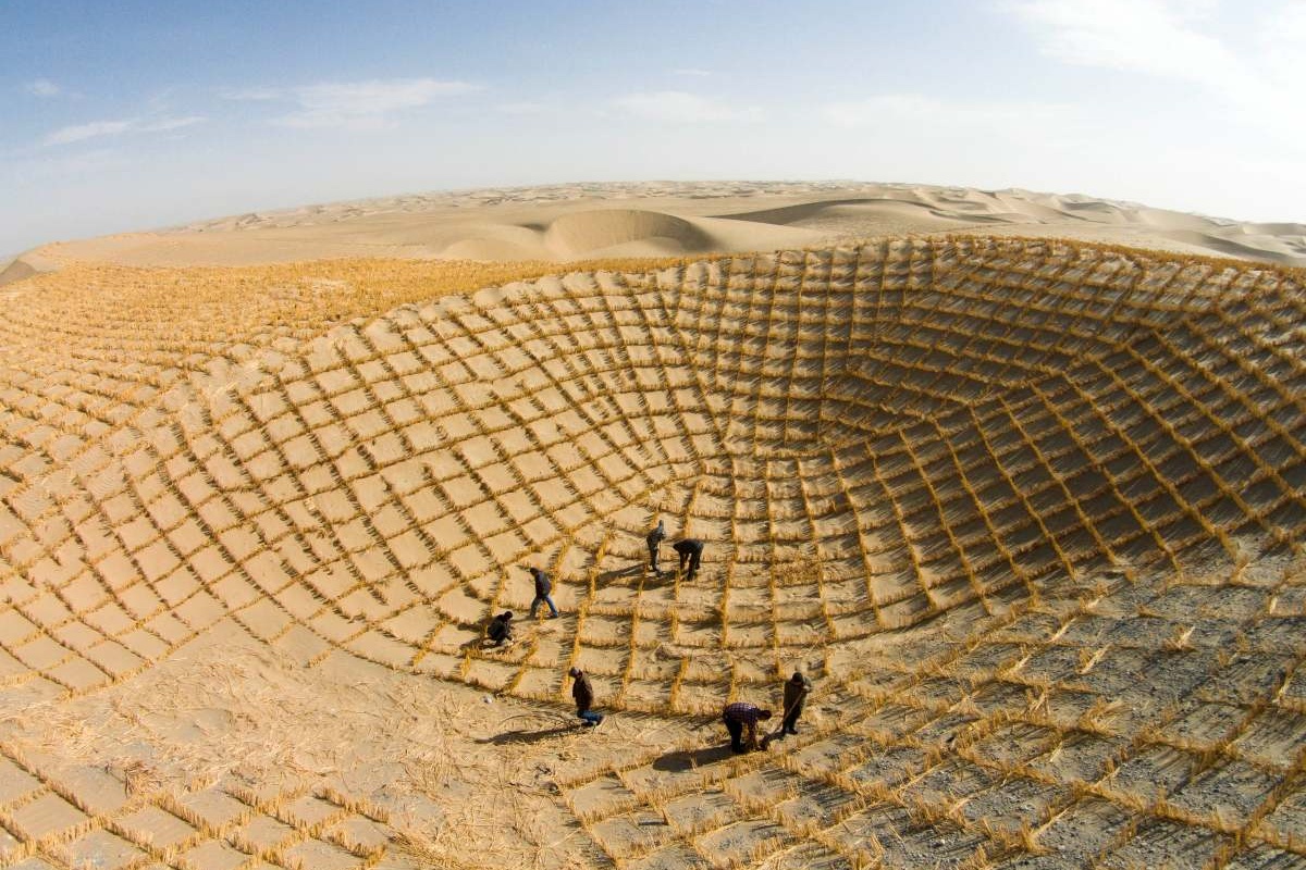 Kina probija barijeru i obara svjetski rekord: Stvara umjetnu šumu površine 93 000 hektara u pustinji detail 2