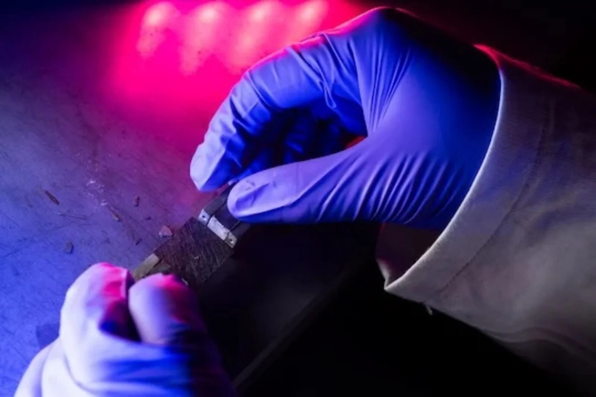 Bacamo blago u smeće. Znanstvenicima je dosta toga, a sve neće stati samo na laboratoriju detail 2