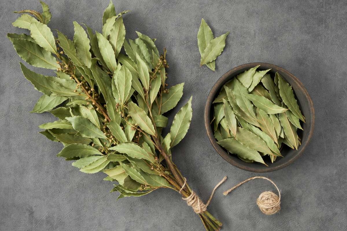 Zašto biste trebali objesiti lovorov list na ulazu na balkon: Trikovi za svježinu i zaštitu doma detail 2