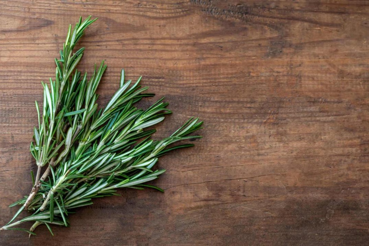 Ružmarin s krupnom soli: Prirodno rješenje za vlagu i svježinu u vašem domu detail 2