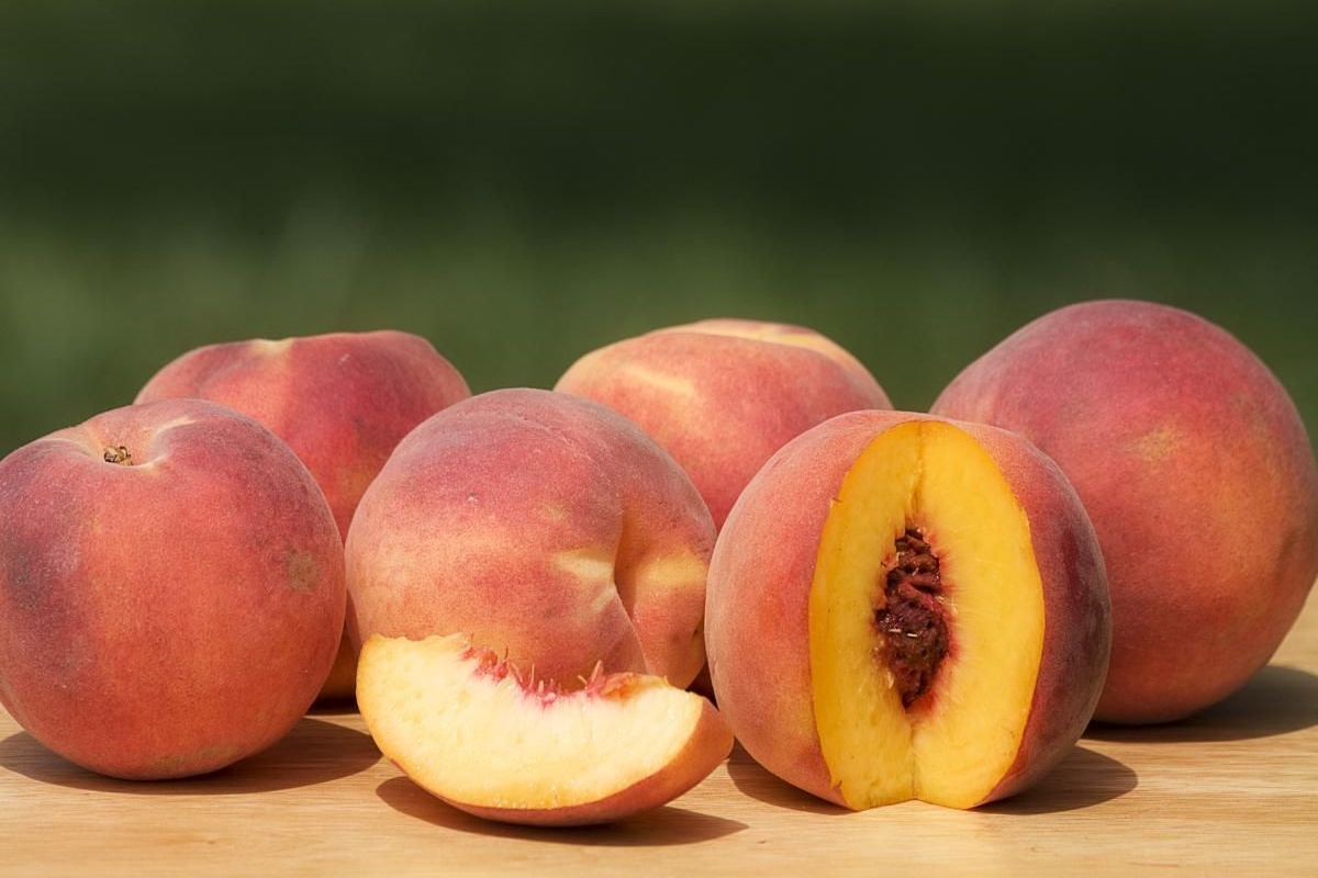 Idealno za male vrtove: Stablo koje rađa ljeti, nema agresivno korijenje i zahtijeva malo brige detail 2