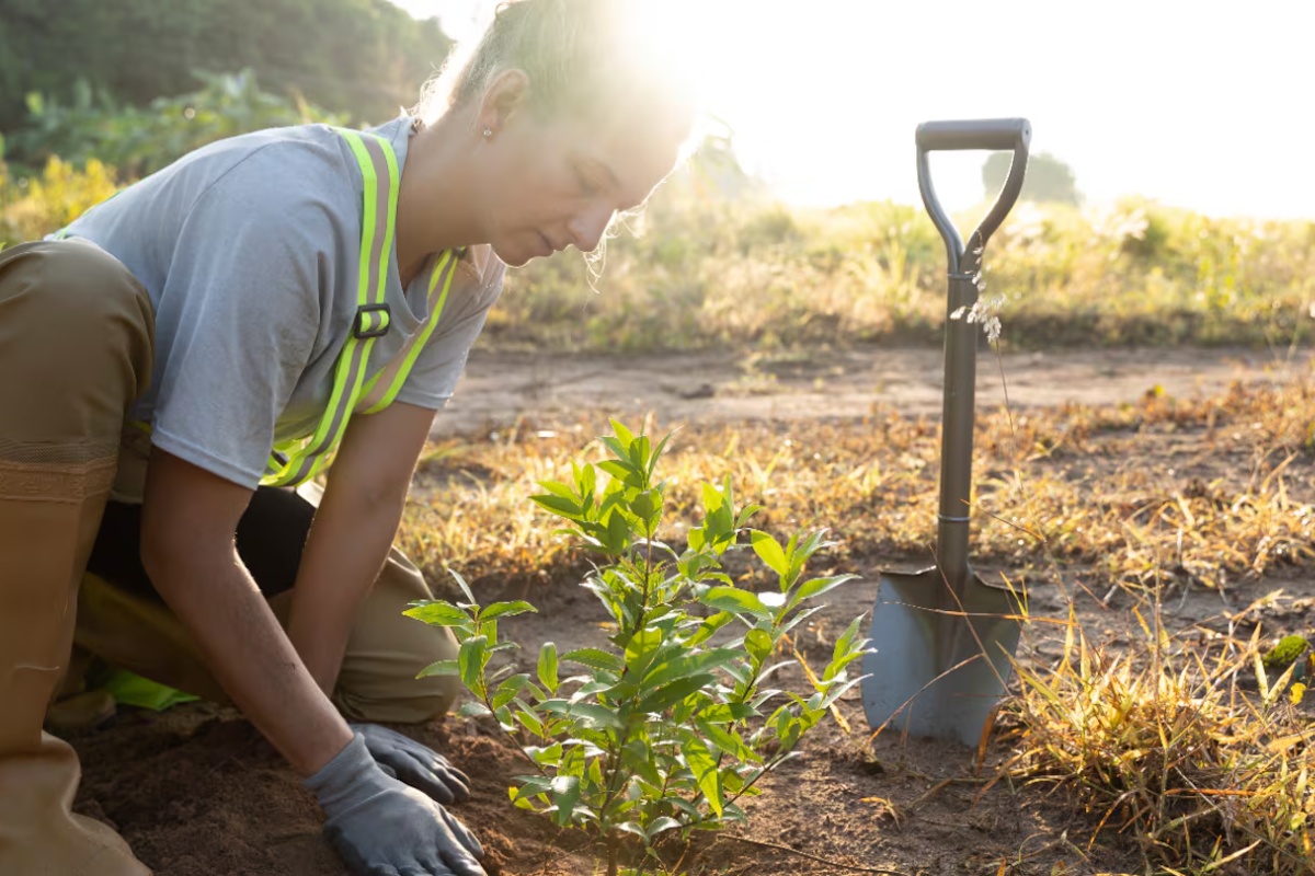 Douglas Tallamy, znanstvenik: “Ako bi kukci nestali, izgubili bismo 90 % biljaka cvjetnica” detail 2