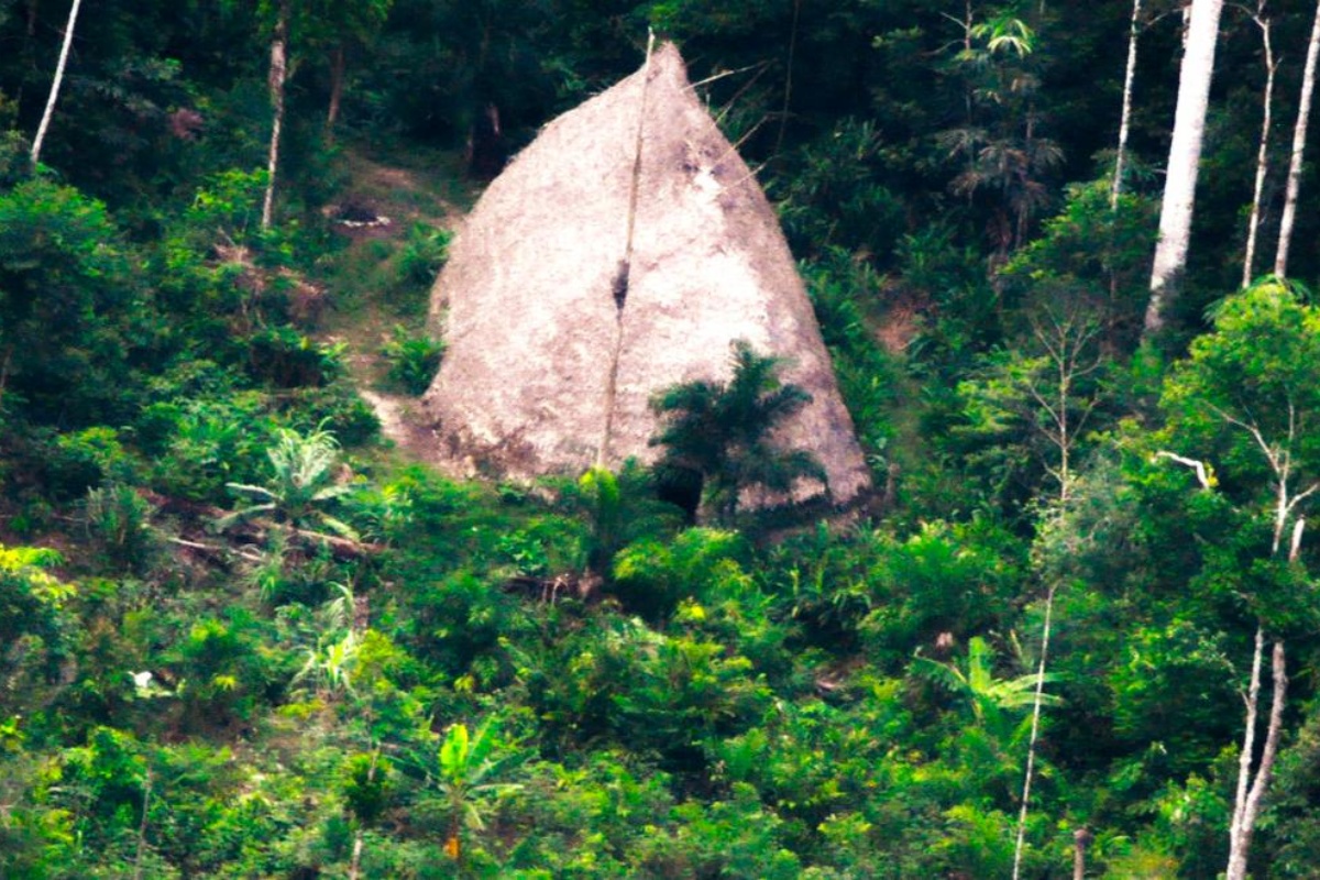 U džunglama Perua dron slučajno snimio pleme koje nikada nije kontaktiralo s civilizacijom — snimke su zadivile svijet detail 2