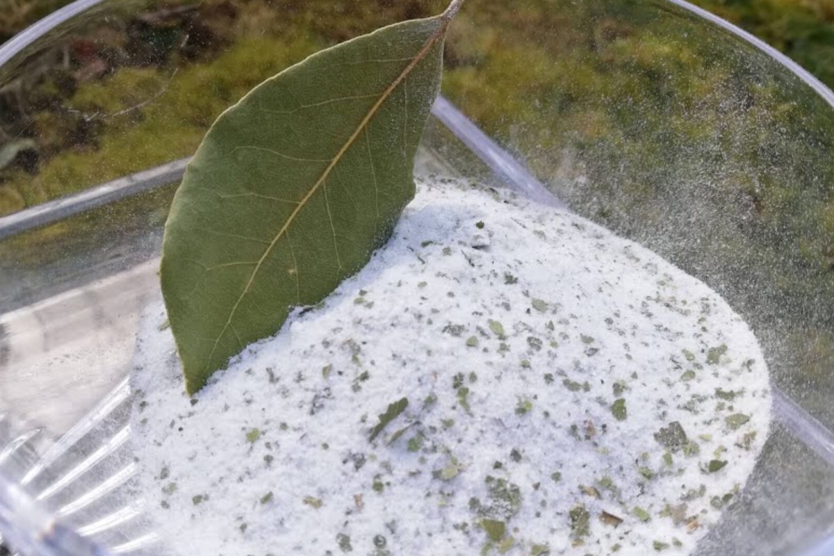 Stavljam zdjelicu sa solju na prozor, a unutra 3 cijela lovorova lista i 5 usitnjenih: nisu praznovjerja, već trik detail 2