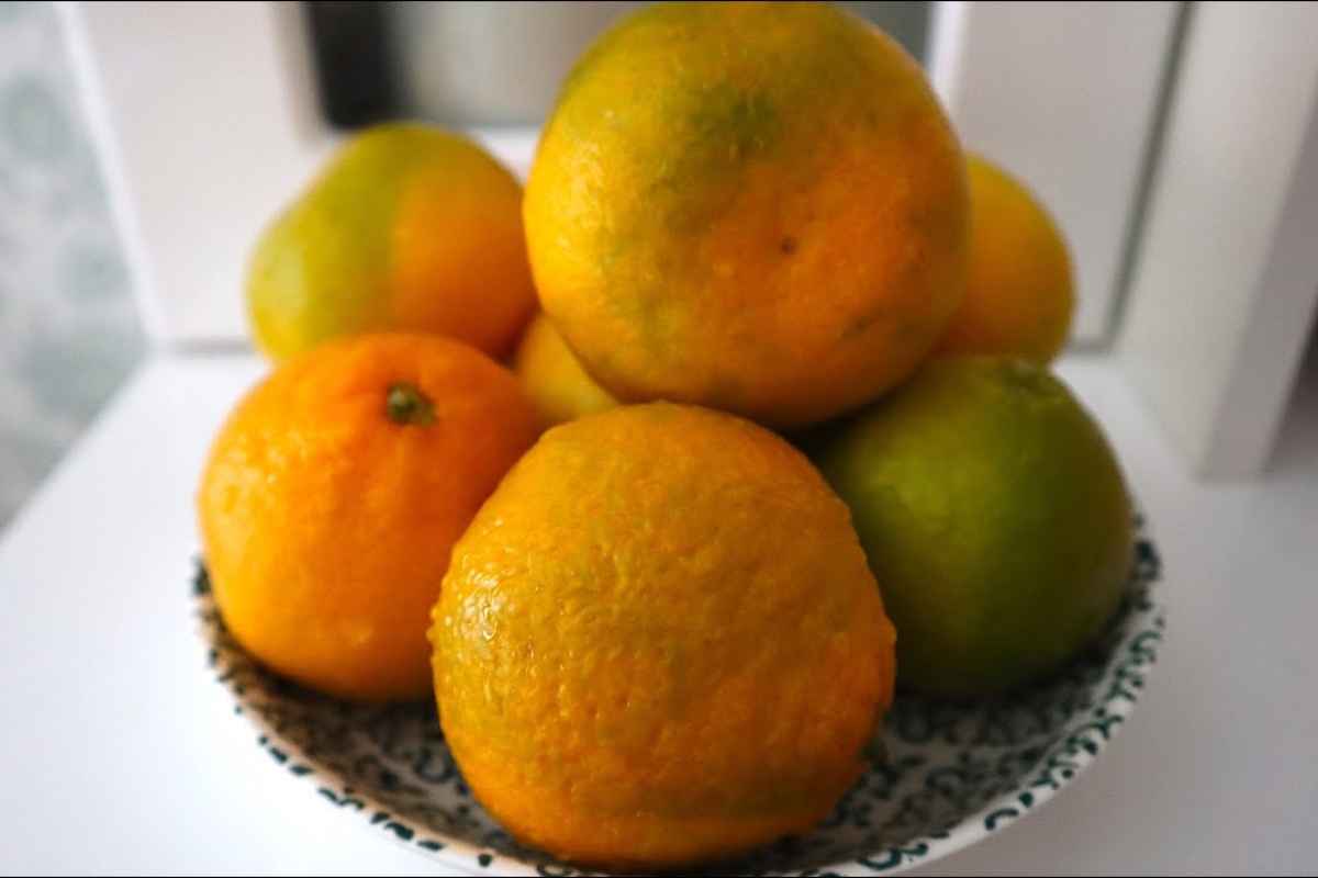 Nikada ne bacam kore mandarina prije Nove godine: radim od njih osvježivač sa solju – kod kuće miriše na blagdane detail 2