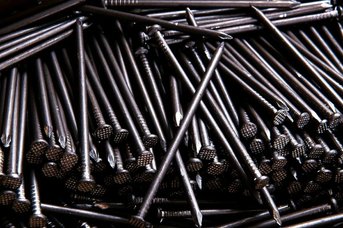 Stablo limuna: zašto se preporučuje zabijanje čavala u deblo i čemu to služi detail 2