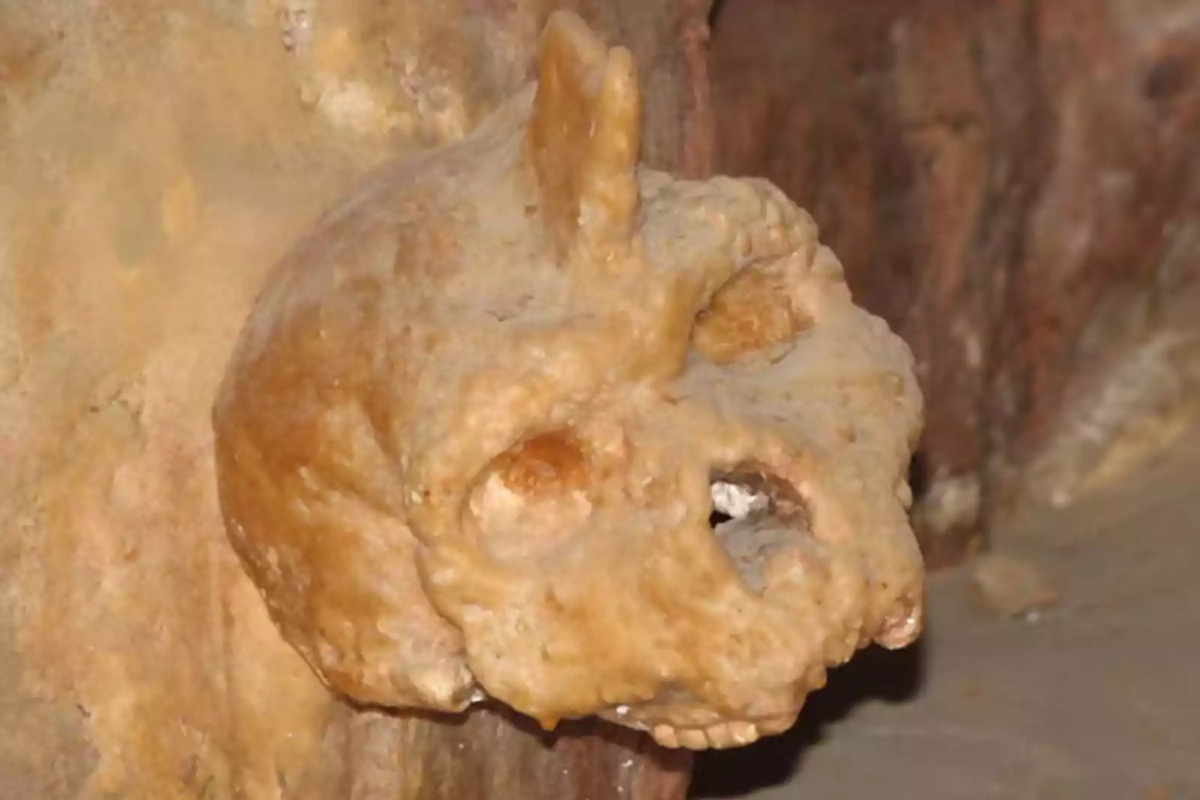 U Grčkoj je pronađena 300.000 godina stara lubanja koja nije ni ljudska ni neandertalska. detail 3