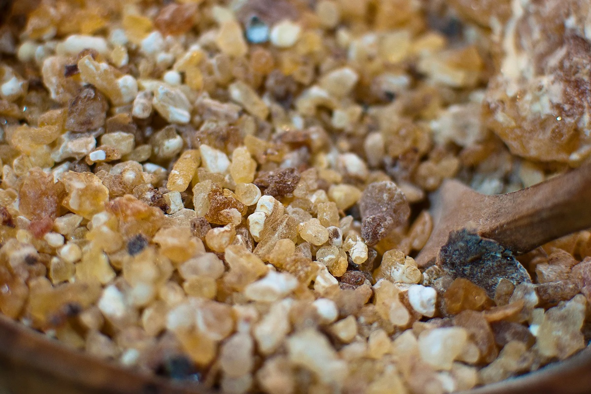 Zašto svijet ostaje bez tamjana — i zašto znanstvenici kažu da problem postaje sve gori detail 3