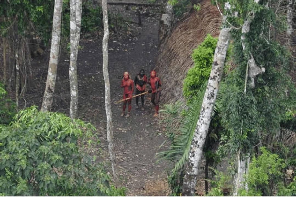 U džunglama Perua dron slučajno snimio pleme koje nikada nije kontaktiralo s civilizacijom — snimke su zadivile svijet detail 3