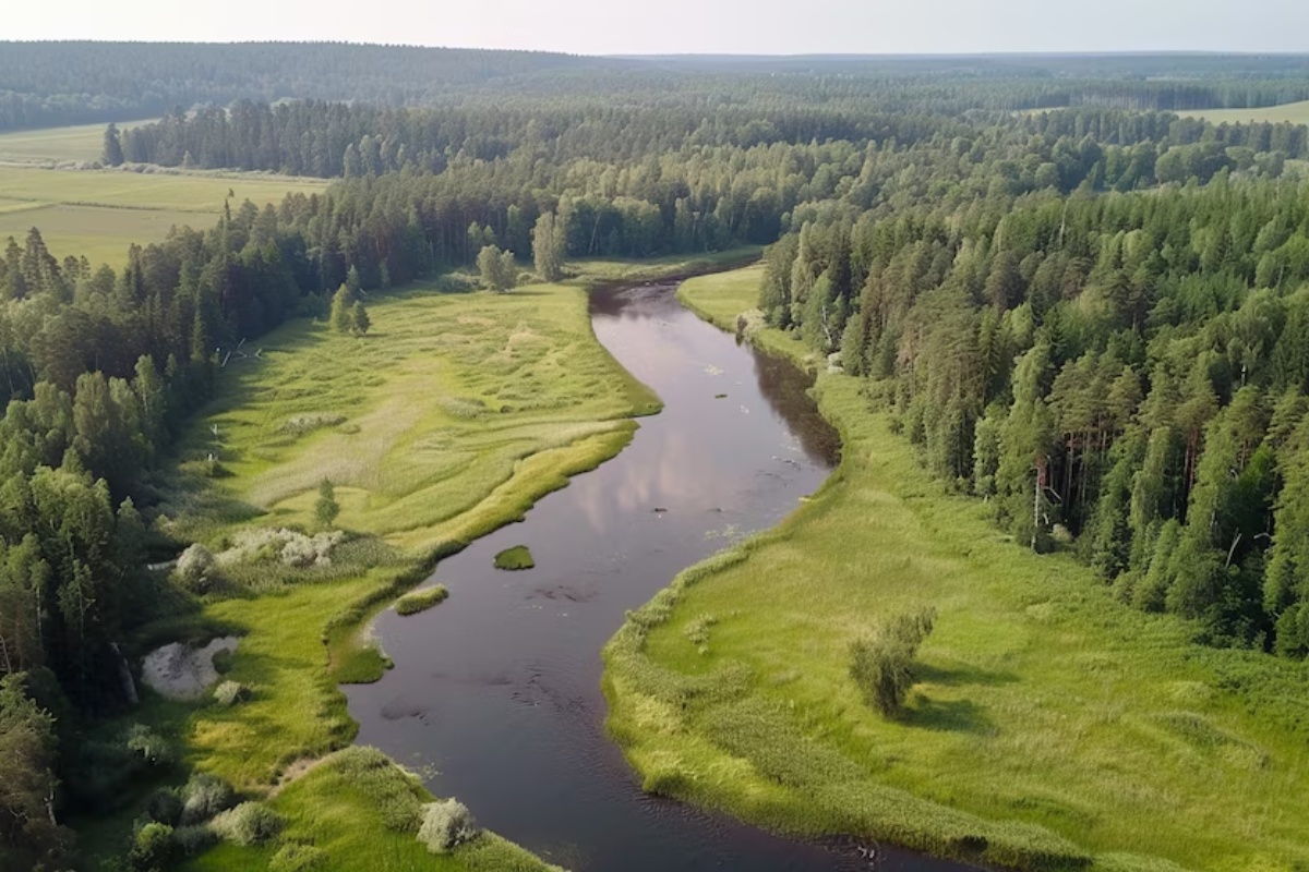 Nevjerojatno otkriće: Amoeba Incendiamoeba cascadensis prkosi granicama života u ekstremnim uvjetima! detail 4