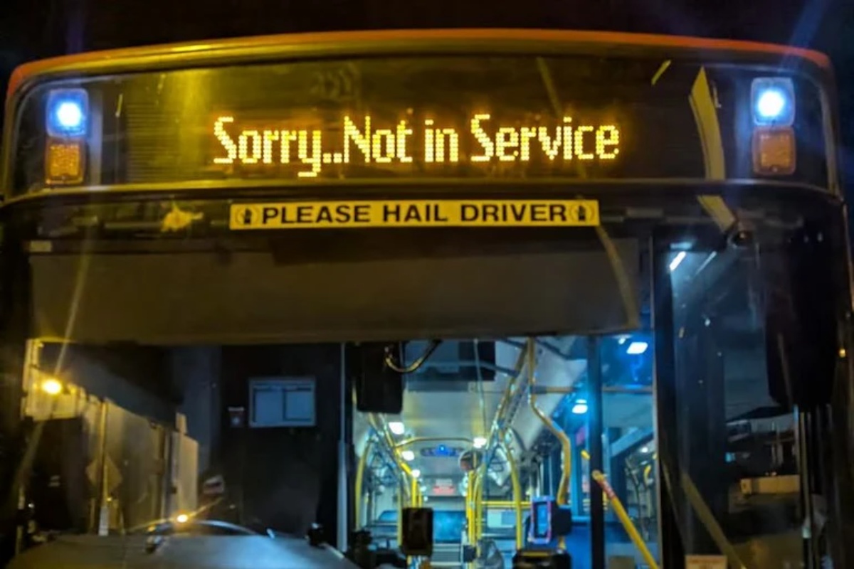 U Australiji koala završila u autobusu: vozaču zahvaljuju na spašavanju detail 4