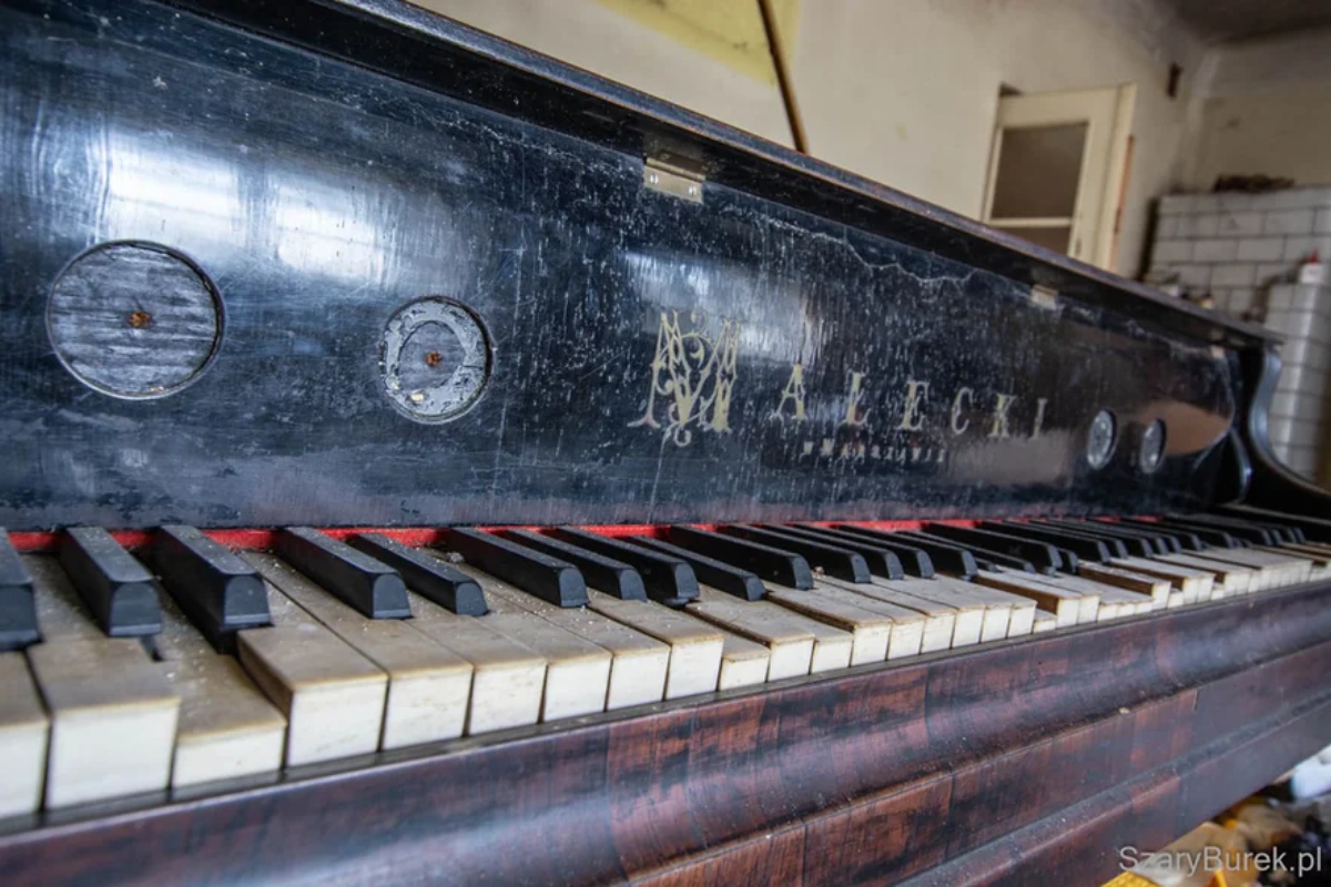 Ovakvo otkriće nisam očekivao u napuštenoj kući. To je pravi antikvitet detail 4