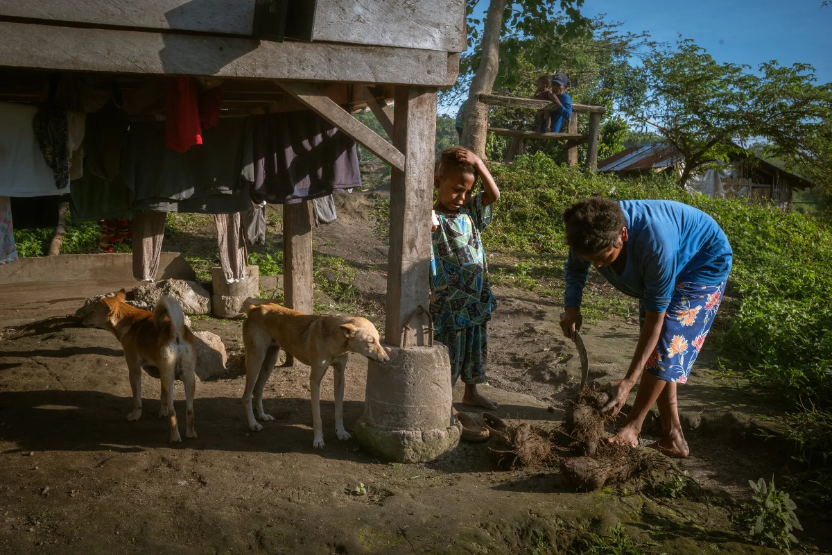 Globalni hit zvan ube: zašto filipinski farmeri ne stižu zadovoljiti svijet? detail 4