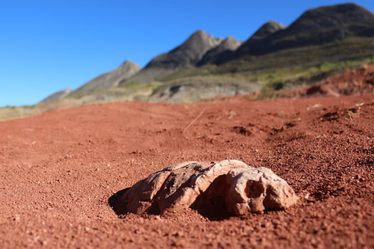 Otkriće koje mijenja povijest: Više od 16.000 tragova dinosaura u Boliviji otkriva neviđene tajne prapovijesnog života! detail 5