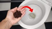 Wystarczy jedna łyżeczka: dlatego coraz więcej osób wrzuca fusy z kawy do toalety