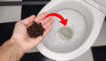 Wystarczy jedna łyżeczka: dlatego coraz więcej osób wrzuca fusy z kawy do toalety
