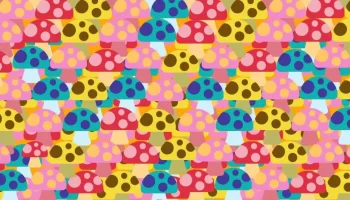 Vizuální hádanka: pokud jste chytrý člověk, dokážete najít schovanou myš za méně než 30 sekund.