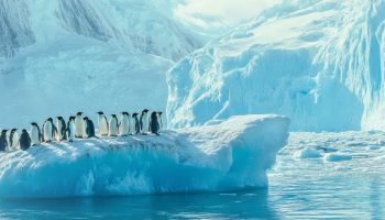 Největší ledový příkrov na světě se nachází více než 14 500 kilometrů od centra České republiky.