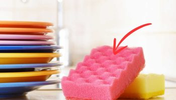 Který předmět v domácnosti je nejšpinavější a jak jej lze vyčistit octem?