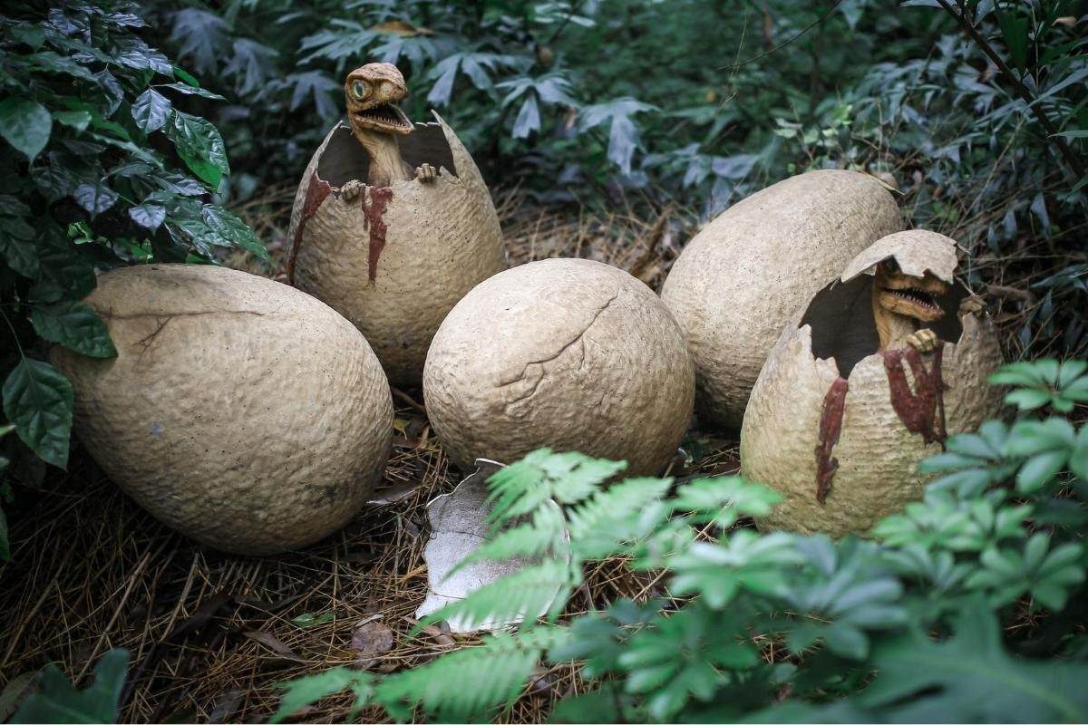 Dva jaja dinosaura otvorena su u Kini i unutar njih pronađeno je 