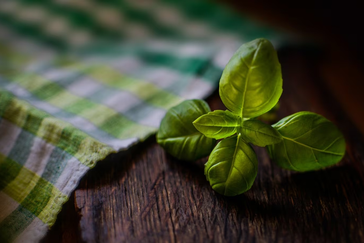 Biljka koju morate staviti na svoj balkon u siječnju kako biste privukli sreću, prema feng shuiju