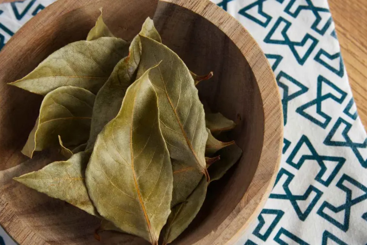 Mješavina lovorovih listova i sode bikarbone: čemu služi i zašto se preporučuje