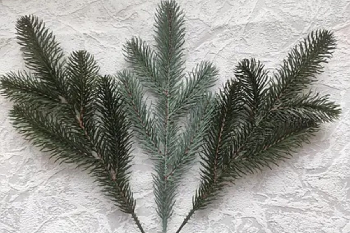 Nisu smeće, već amajlija: stavite 2 grančice žive jelke na skrovito mjesto – bakina metoda koja štiti dom