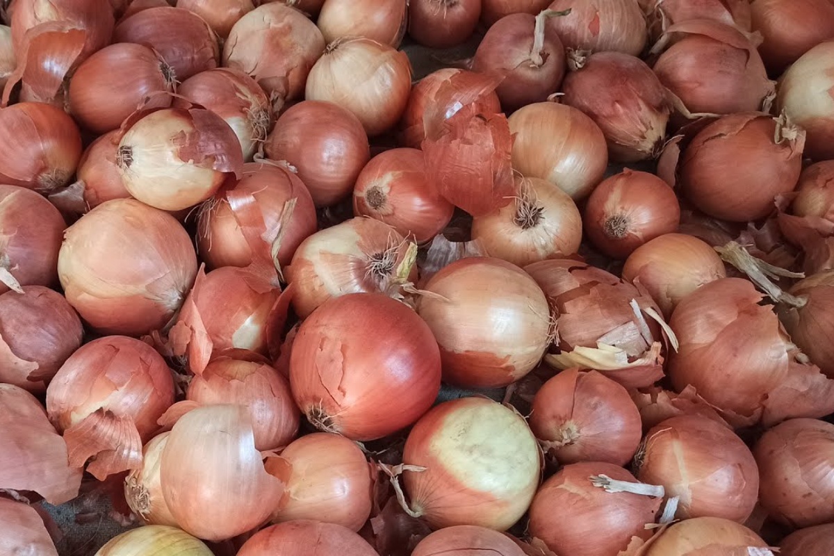 Čuvam svoj luk samo na ovaj način: ne trune i ne klija do proljeća bez hladnjaka