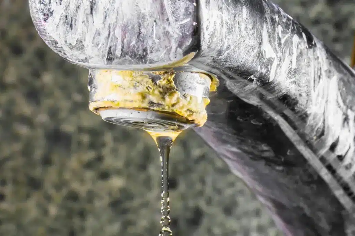 Ocat u kotliću toaleta: kako izvesti ovaj trik i što on znači detail 1