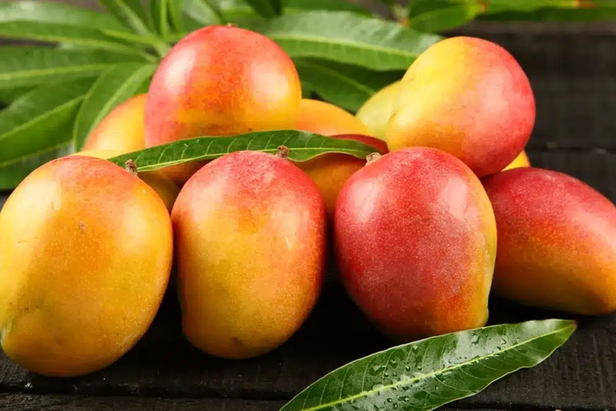 Mango je pravi izvor hranjivih tvari i ima mnoga svojstva korisna za zdravlje detail 1