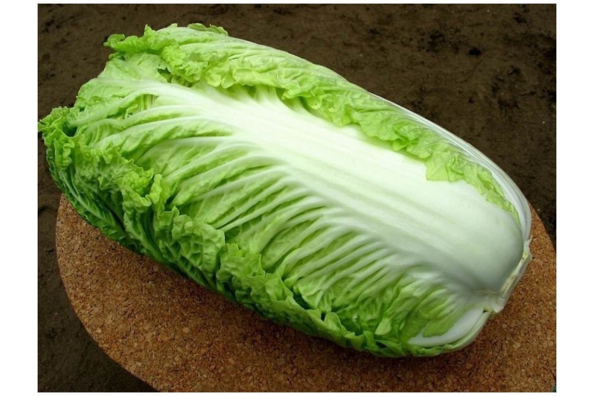 Kažu da je dobra za sve. Ali ne smiju je svi jesti. detail 1