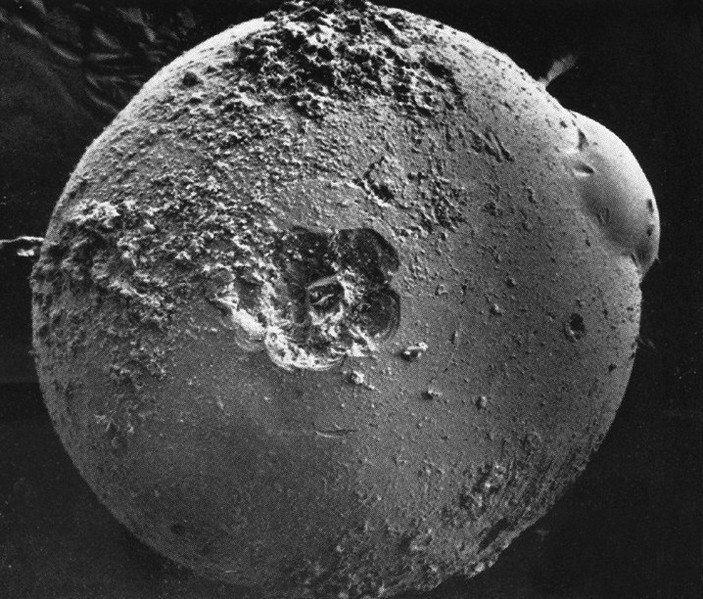 Novi detalj u lunarnom tlu prijeti promjenom predodžbe o Mjesecu detail 1