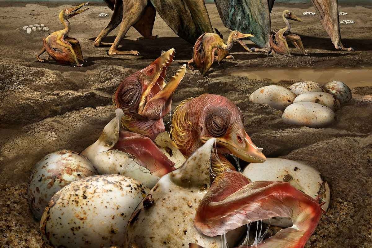 Dva jaja dinosaura otvorena su u Kini i unutar njih pronađeno je 