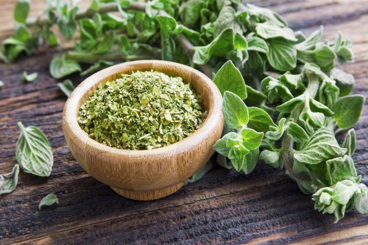 Kako otjerati žohare iz kuće koristeći malo origana: učinkovit domaći repelent detail 2