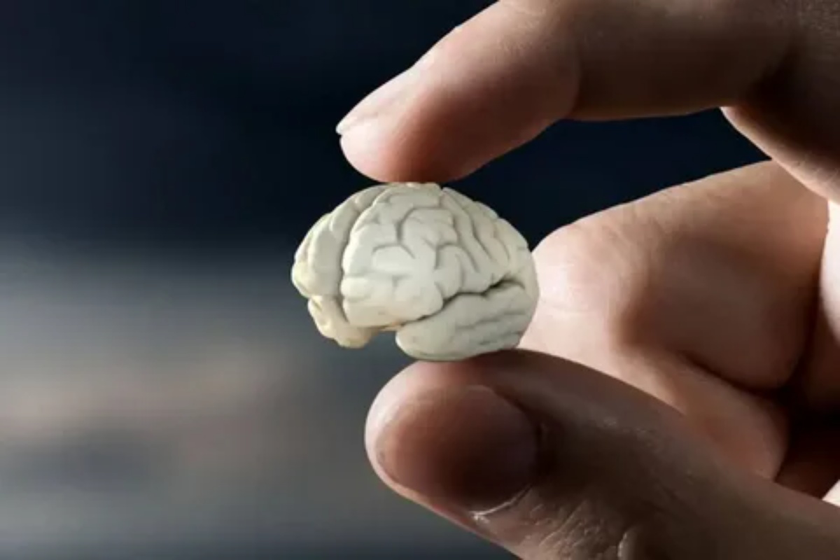 'Mini-mozgovi' otkrivaju skrivene signale shizofrenije i bipolarnog poremećaja