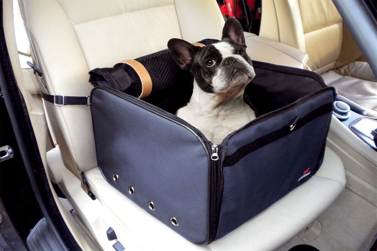 Putovanje s kućnim ljubimcem više nikada neće biti isto: Promjena u EU koja se odnosi na vas