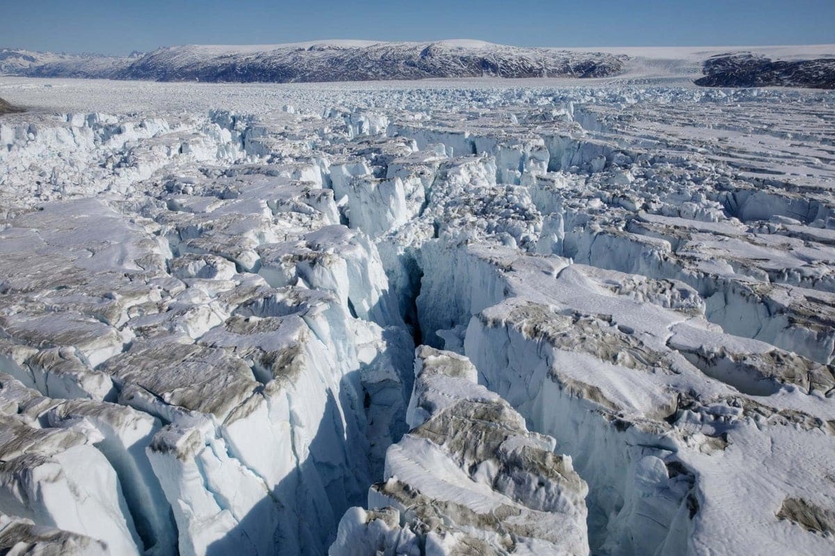 Znanstvenici su šokirani: na Grenlandu su otkriveni ostaci jednog od najprimitivnijih sisavaca detail 2